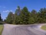 Fork in the Road